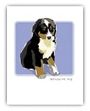 Paper Russells PAGNC597 Grrreen Single Note Card - Bernese Mt. Sitting