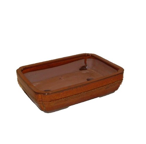 26cm Glazed Bonsai Pot - Brown