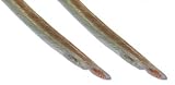 100ft 14-Gauge Clear Speaker Wire
