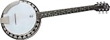 Deering B6 6 - String Banjo - B0002H0970