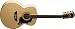 Washburn Cumberland Series J28S12DLK Acoustic Guitar