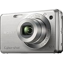 Sony Cybershot DSC-W220 12.1MP Digital Camera with 4x Optical Zoom with Super Steady Shot Image Stabilization (Silver)