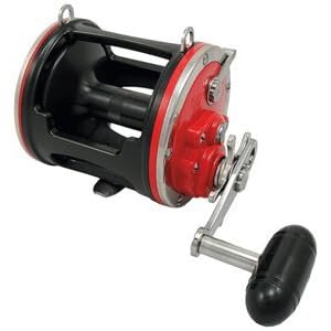 Penn 114HLW SPC Senator Wide 6/0 Full Fr High Speed Extra Wide Reel