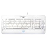 Razer Pro Solutions ProType Multimedia Keyboard