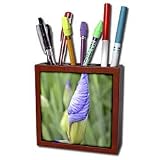 Patricia Sanders Flowers - inspirational iris - Tile Pen Holders-5 inch tile pen holder