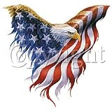American Flag Bald Eagle U.S. Pride T-shirt, Small, Lt Blue