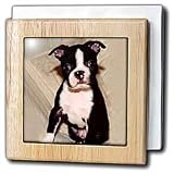 Boston Terrier - 6 Inch Tile Napkin Holder