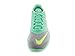 Nike Women's Fs Lite Run 3 Running Shoe