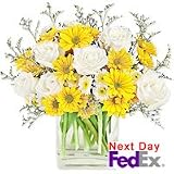 Flowers - Sunshine Fields