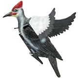 Edge by Expedite® Wounded Woodpecker