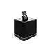 Arcam rCube Portable Speaker System for iPod And iPhone