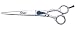 Oster Convex2 Heavy 8-Inch Straight Scissor