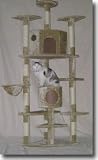 Riesiger Eck Katzen Kratzbaum 60x60x200cm