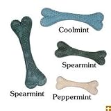 Booda Fresh n Brite Bone Large Dog Chew Treat (3-pack 6'' bones - Spearmint Flavor)