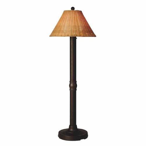 Tahitti 18207 Bronze  60-inch Floor Lamp  With Antique Honey Shade On Sale