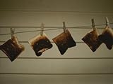 IMAGE OF Burnt Toast Hanging on Clothesline Collections Photographic Poster Print by Todd Gipstein, 30x40