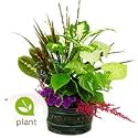 Flowers - Green Thumb