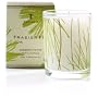 Thymes Frasier Fir Votive Candle