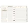 Day Runner Pro Two-Page-per-Day Refill, 2010 Edition, January-December, 8.50 x 11 Inches, (491-225)