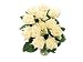 White Roses - 12 Roses