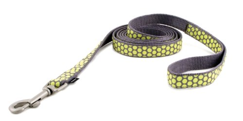 PetSafe Fido Finery Dog Leash, 3/4-Inch by 6-Foot, Dotted Bliss