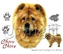 Chow Chow Adult T-Shirt