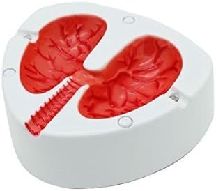 Coughing and Screaming The funny ashtray