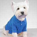 Preppy Puppy Shirts - X-SMALL - BLUE