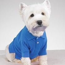 Preppy Puppy Shirts - X-SMALL - BLUE