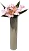 �s���ԁE�ԕr�tF-style vase Plumeria�@Pink�i�v�������A�x�[�X/�C�G���[�j