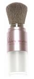 Skin Alison Raffaele Transparent Finish TO GO