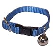 Marshall Pet Ferret Bell Collar Royal Blue