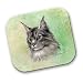 maine coon - New! Maine Coon Cat Mousepad