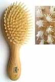 KENT ケント 男性用 長円形 ヘアブラシ OG3の画像