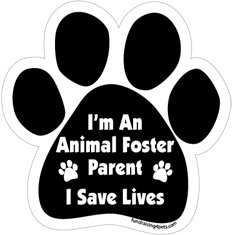 foster parents