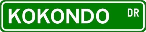 Kokondo Street Sign ~ Martial Arts Gift ~ Aluminum