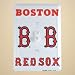 Boston Red Sox Metal Light Switch Plate Cover