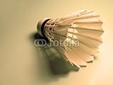IMAGE OF Wallmonkeys Peel and Stick Wall Decals - Shuttlecock and Shadow - 18