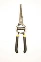 Bonsai Tree 200mm Sprung Trimming Shears (Free P & P)