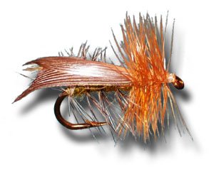 Henryville Caddis Fly Fishing Fly