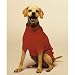 Fashion Pet Classic Medium Cable Dog Sweater, Red