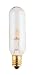 15 Watt T6 Tubular Light Bulb / Candelabra Base / Clear / 15T6