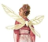 Glitter Dragonfly Costume Wings