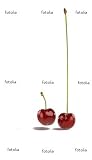 `Cherie, Je Vous Aime` Wall Decal - 14"W x 24"H Removable Graphic