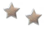 Tashi Sterling Silver Brushed Matte Finish Star Stud Earrings