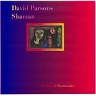 Shaman by David Parsons