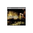 SONY Underground Soundlab ( Windows )