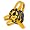 Black/Gold