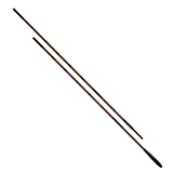 CB 将山 竿掛 2本物 PT入