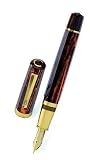 Omas Arte Italiana Arco Celluloid Paragon Gold Trim Fountain Pen